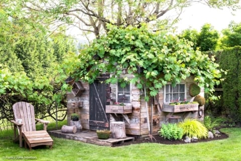 DIY window box planters on a garden shed