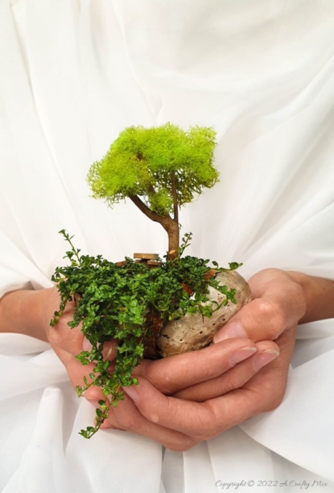 Miniature-Seashell-Garden