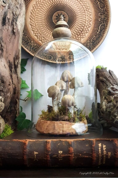 clay mushrooms under a cloche