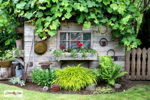 garden shed window boxes filled with flowers