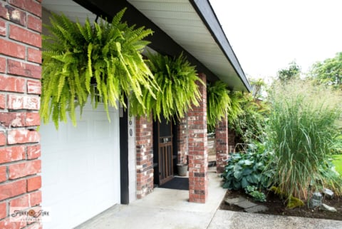 boston ferns under a front porch - fall season tour