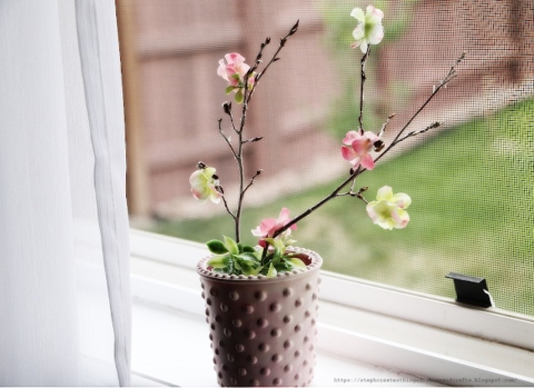 branch blossoms