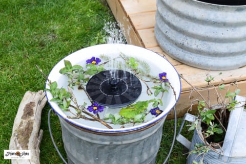flowers and branches inside a solar water fountain