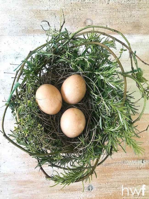 living nest decor
