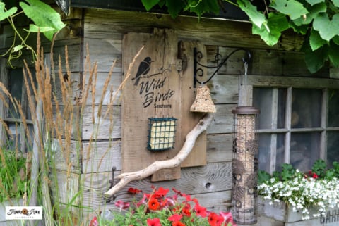 Wild Birds Sanctuary bird feeding station