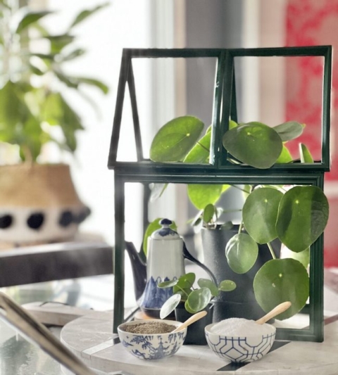 table top greenhouse planter