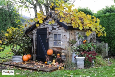 garden shed fall porch decor