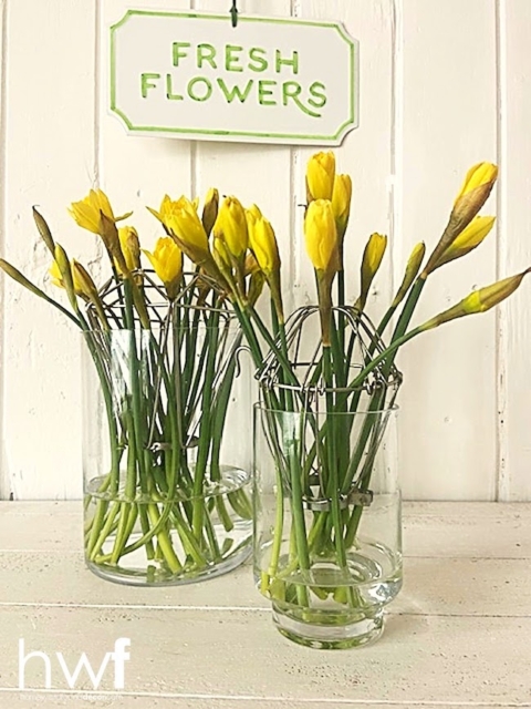 light cage flower frogs
