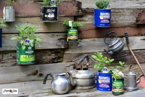 herb garden with coffee cans