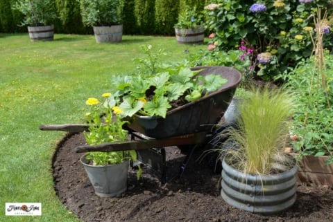 raised garden bed for vegetable garden