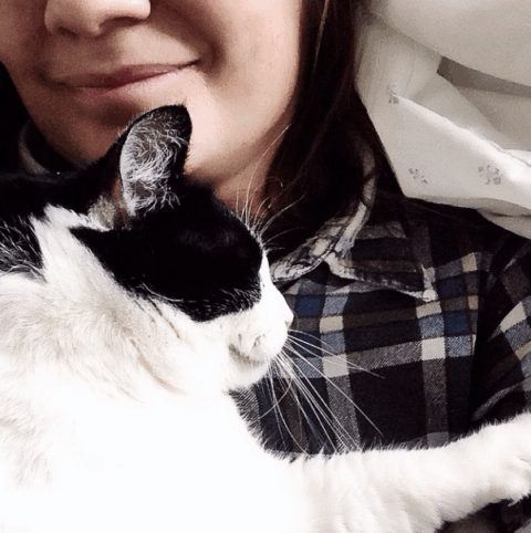 missing Lake the cat