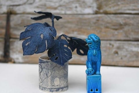 denim-monstera-plant