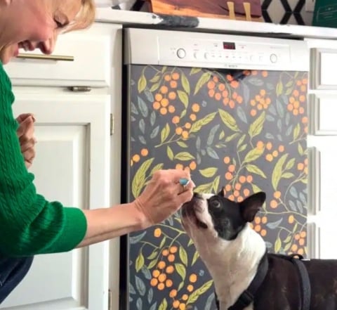 wallpapered fridge and dishwasher